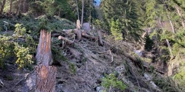 Ernen Fortsunfall