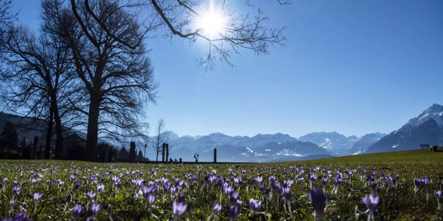 Schweiz Wetter Frühling Sonne