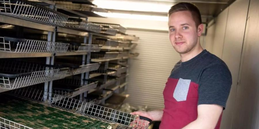 Als Pulver im Müsli, flüssig im Smoothie oder als Spirulina-Eis findet die Alge auch in Deutschland mehr und mehr Freunde. Algenzüchter in Rockstedt liefern dafür die entscheidende Zutat. Foto: Sina Schuldt/dpa