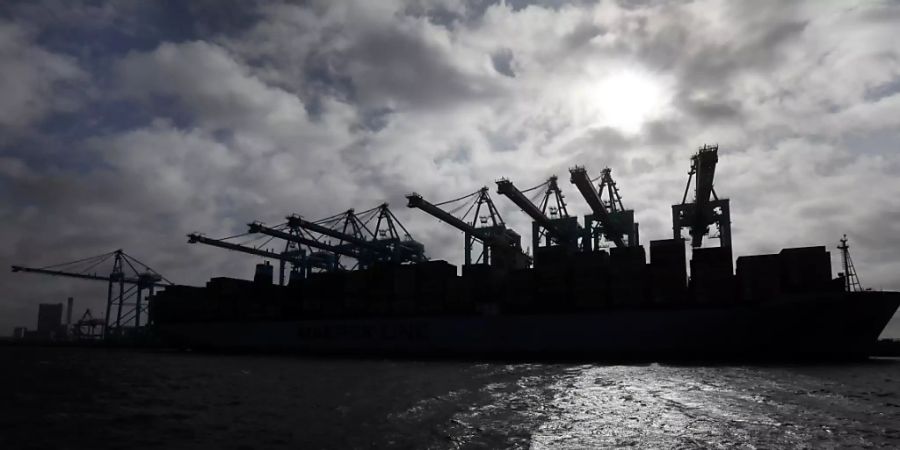 Rotterdam Hafen Drogenhandel