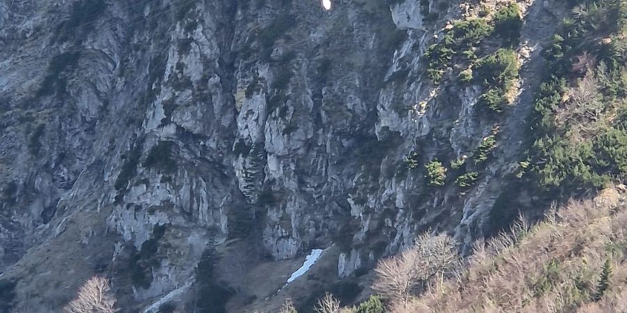 Ein Gleitschirmflieger in den Seilen einer Seilbahn in Oberbayern - er konnte gerettet werden.