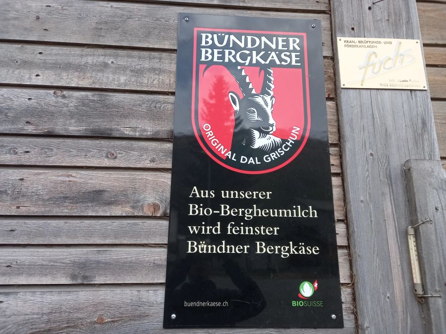 Bünder Bio Bergkäse Tafel