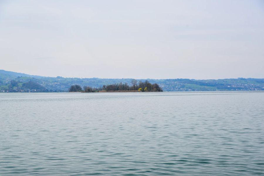 Die Überfahrt vom Rapperswiler Hafen aus mit dem Shuttle-Boot dauert etwa 12 Minuten.