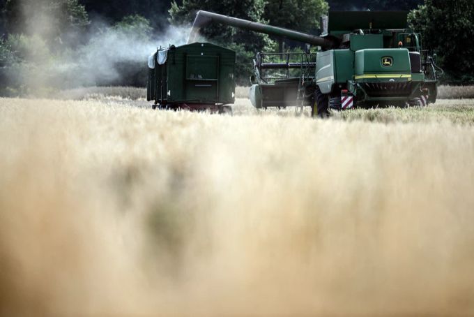 Werden landwirtschaftliche Nutzfläche durch die Biodiversitätsinitiative zu unantastbaren Schutzgebieten, müssten fehlende Lebensmittel importiert werden, sagt Hans Jörg Rüegsegger. Getreide