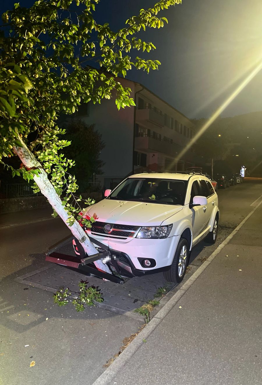 Auto gegen Baum