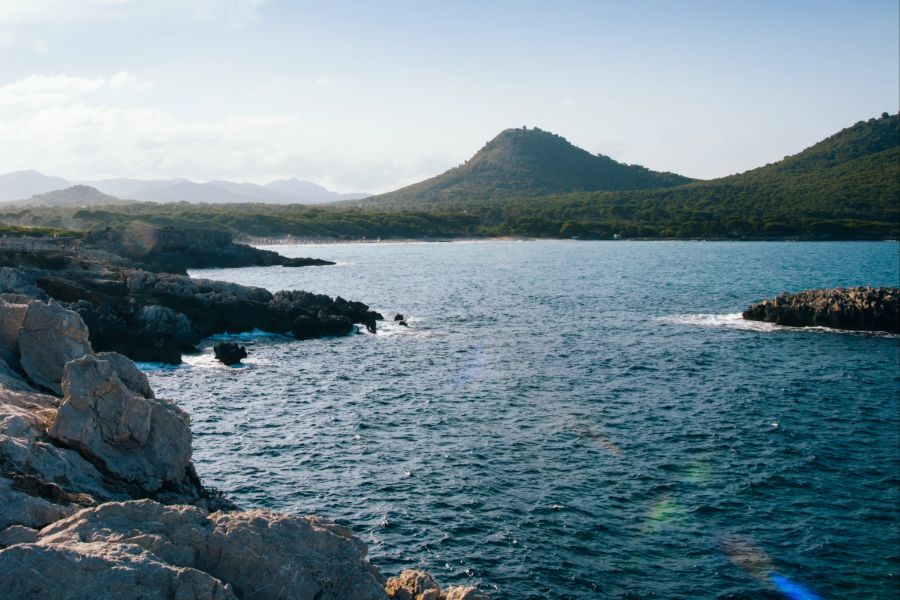 In Cala Millor auf Mallorca herrschte am vergangenen Freitag «Quallenalarm».