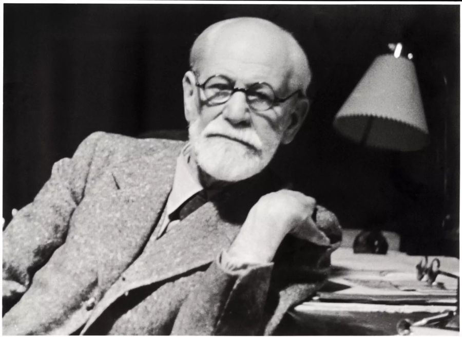 Sigmund Freud Robert Finster