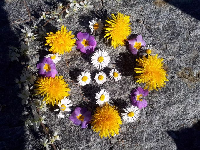 Viele Kinder gehen auch oftmals nach draussen und basteln etwas aus Naturmaterialien, wie solche Mandalas. Natur-Mandala
