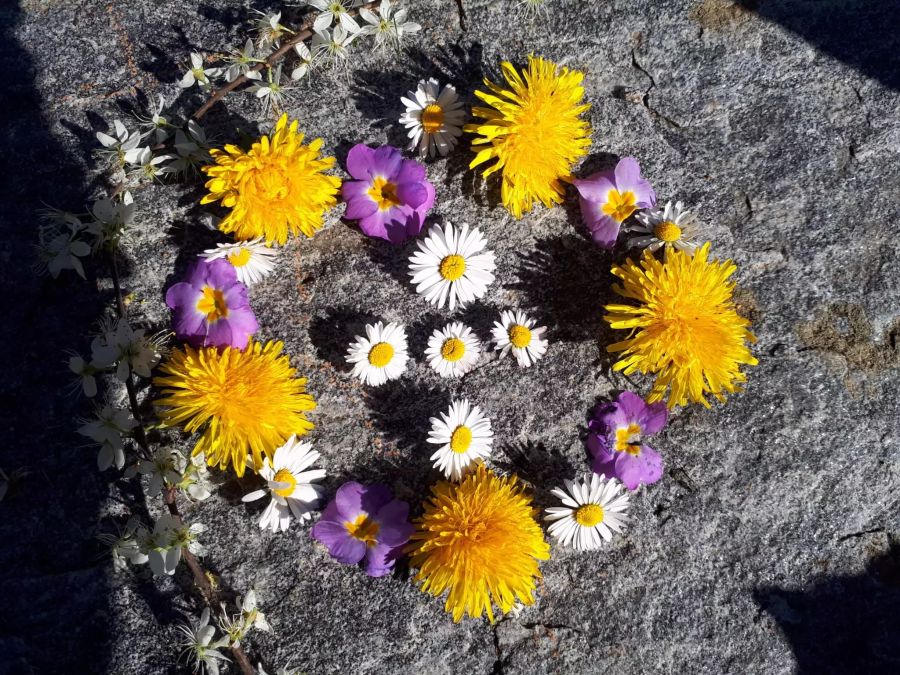 Natur-Mandala