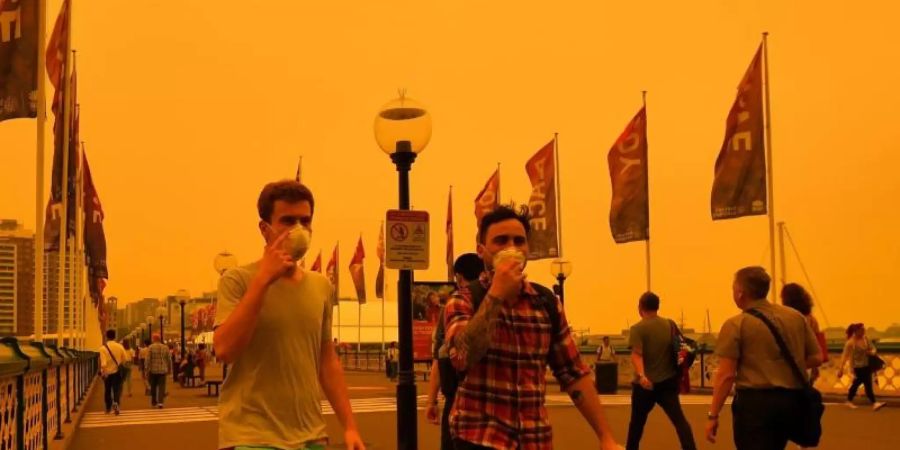 Australien Buschfeuer