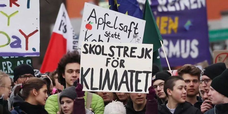 Greta Thunberg (M) nimmt an der Fridays-for-Future-Demonstration in Hamburg teil. Foto: Christian Charisius/dpa