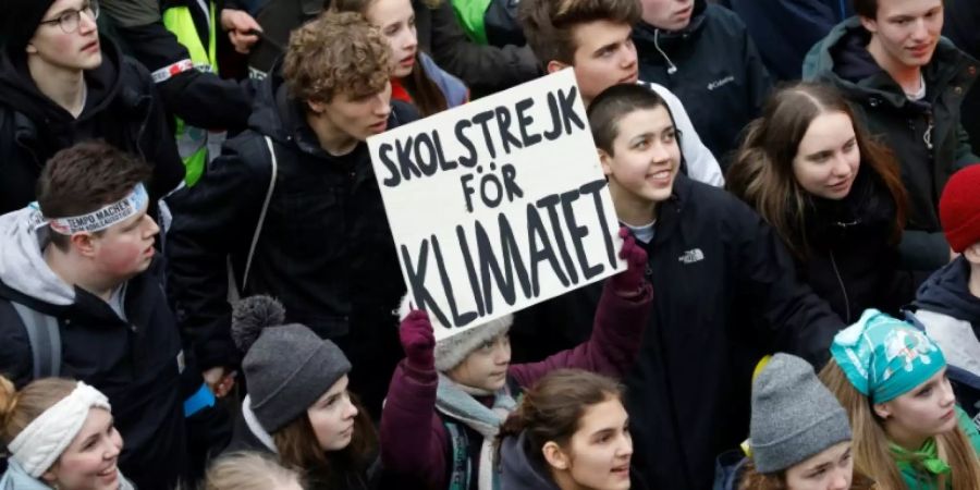 Greta Thunberg trägt am Freitag in Hamburg ein Plakat