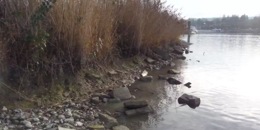 Erosion Wollsauinsel