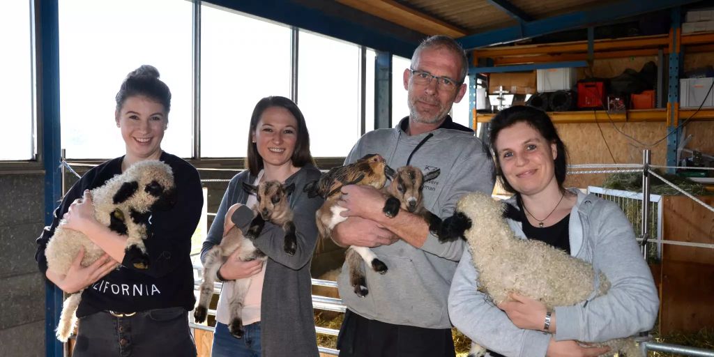 Hier entsteht eine Mensch-Tier-Oase inmitten von Lostorf