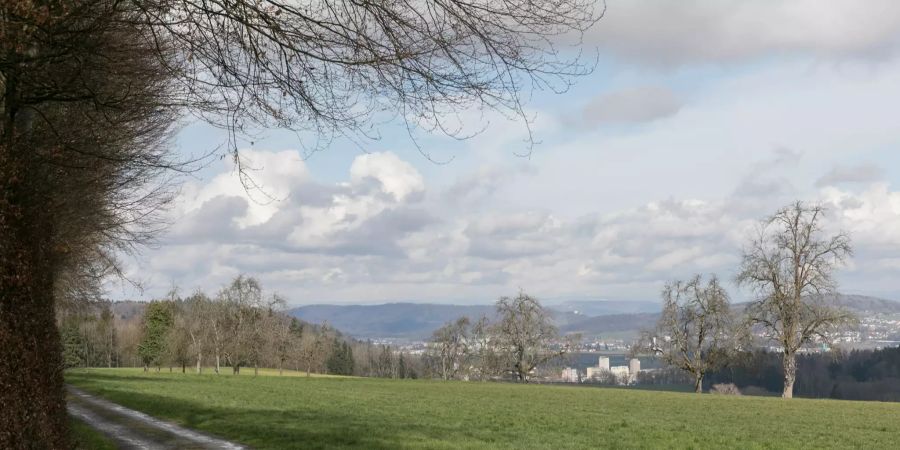 Landschaftsaufnahme bei Sarmenstorf.