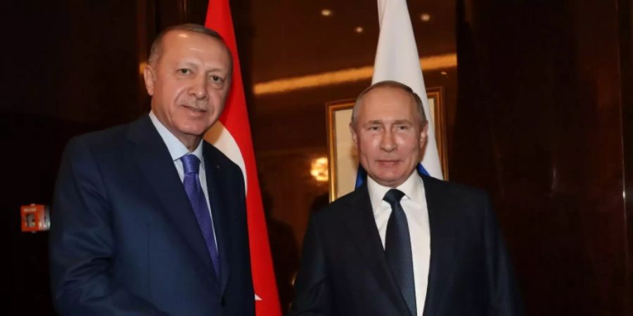 Erdogan (l.) und Putin im Januar in Berlin