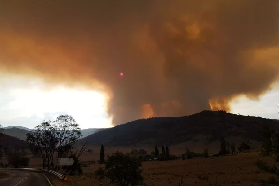 Buschbrände in Australien