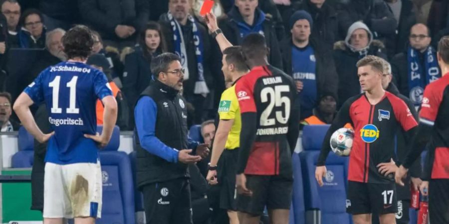 Wird nach seiner Roten Karte nicht gesperrt: Schalke-Coach David Wagner. Foto: Bernd Thissen/dpa