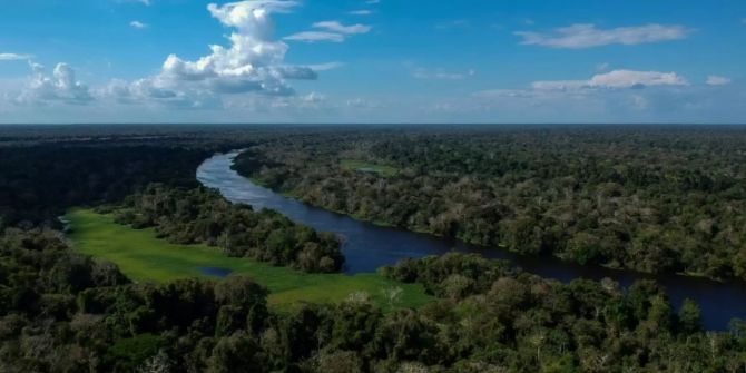 Amazonas Regenwald