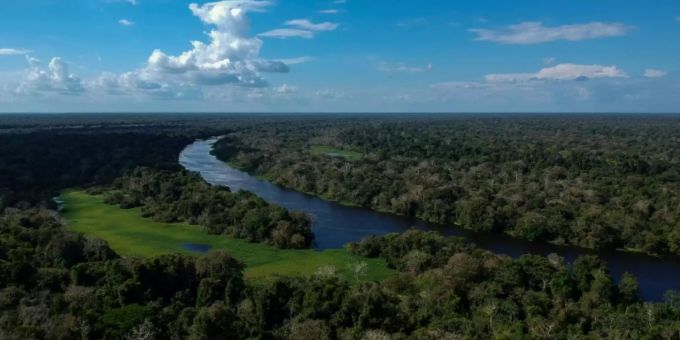 Der Amazonas-Regenwald. Amazonas Regenwald