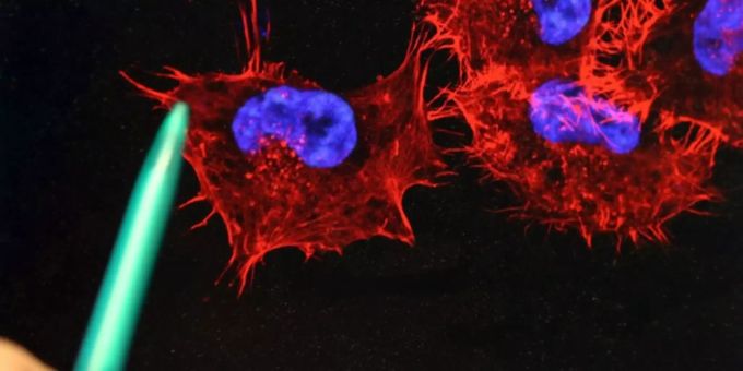 Arbeit in einem medizinischem Forschungslabor. (Symbolbild) CRISPR Schmerzen