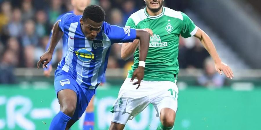 Herthas Javairo Dilrosun kehrt nach seiner Verletzungspause gegen den FSV Mainz in den Berliner Kader zurück. Foto: Carmen Jaspersen