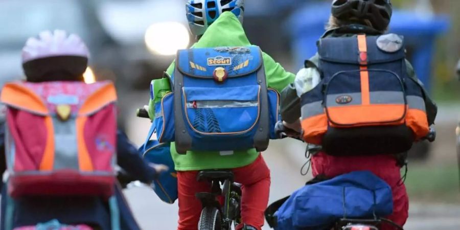 Die Dekra rät: Kinder sollten auf dem Fahrrad unbedingt einen Helm tragen. Ausserdem sind funktionsfähige Reflektoren am Rad wichtig. Foto: Ralf Hirschberger