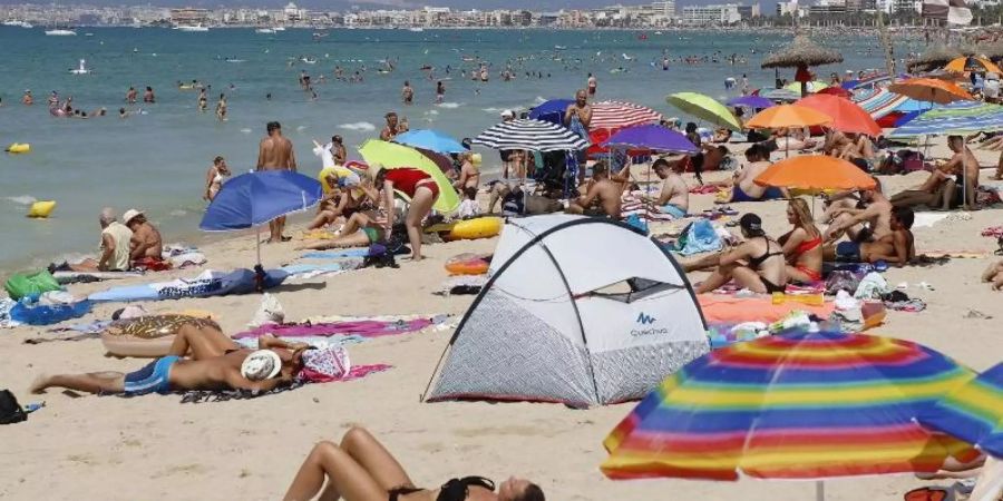 Touristen sonnen sich am Strand von El Arenal, einem der Hauptziele für deutsche und niederländische Touristen während der Sommersaison. Foto: Clara Margais