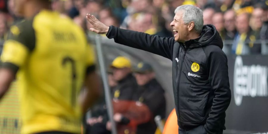 Lucien Favre BVB Fifa