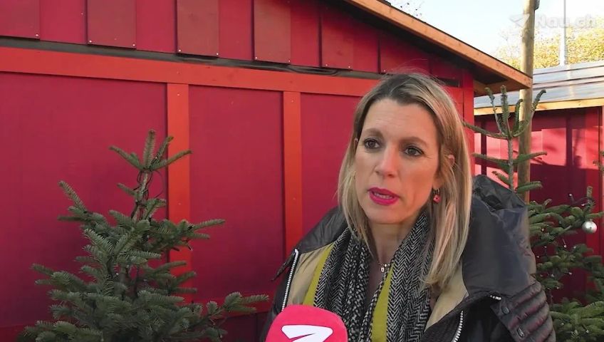 weihnachtsmarkt-zurich