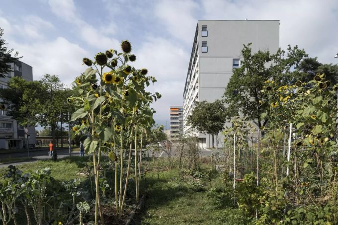 Gemaess Schweizer Heimatschutz zeige die Genfer Agglomerationsgemeinde Meyrin, wie mit Dialog die Vielfalt als Staerke genutzt werden kann. Meyrin