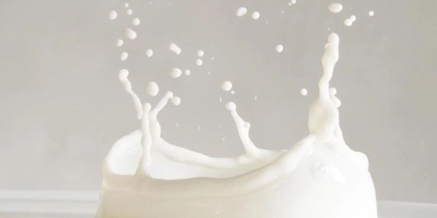 Die grossen Lebensmittelhändler wollen Milch mit vier verschiedenen Tierwohl-Stufen kennzeichnen. Foto: Franziska Gabbert/dpa-tmn