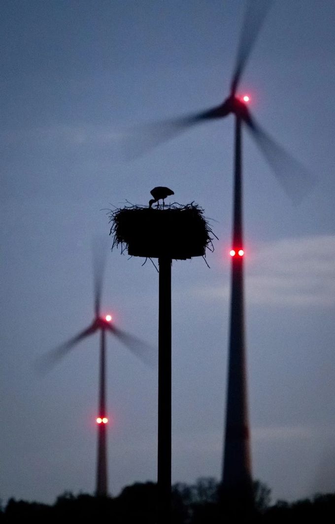 Unter anderem wegen des Vogel- und Fledermausschutzes konnte der Windpark am Nufenen sein Potenzial nicht ausschöpfen. gotthard