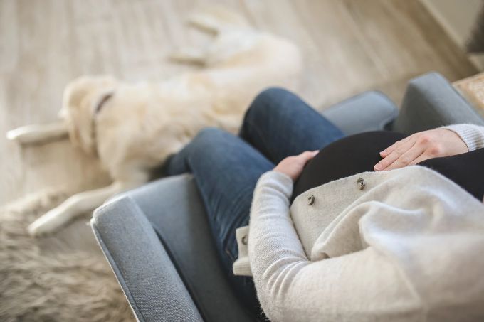 Schwangere Frauen sollten in jeder Hinsicht auf ihre Gesundheit achten. Frau Sessel schwanger Hund