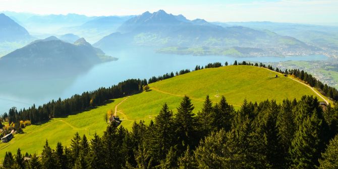 Wald bei Luzern