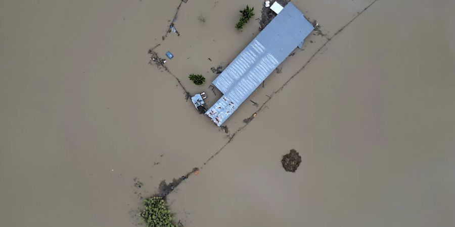 Hochwasser und Schlamm bedecken das Land nach dem Rekordregen in der Region Thessalien. Foto: Vaggelis Kousioras/AP/dpa