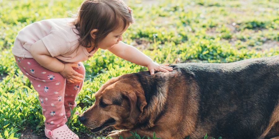 Kind streichelt Hund