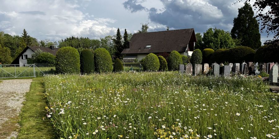 Biodiversität