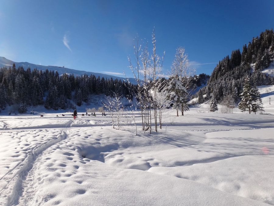 Eisfischen Seeblisee Hoch-Ybrig