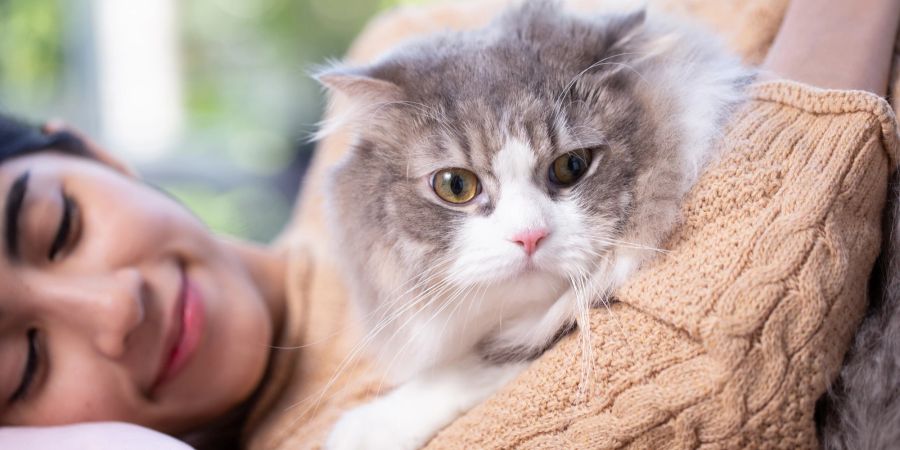 Mädchen mit Katze im Arm