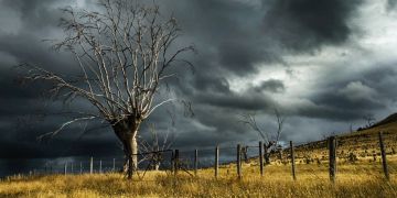 Sturm