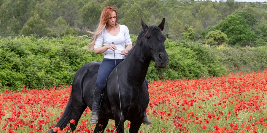 Eine Frau auf ein Pferd ohne Sattel