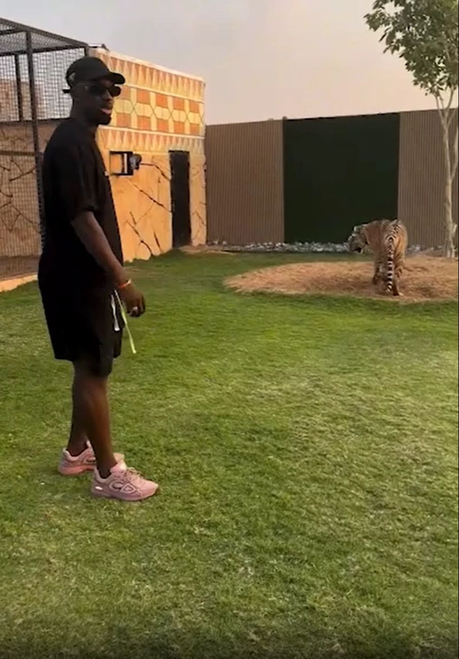 Jean-Kévin Augustin postet ein Video aus dem Albuqaish Zoo in Dubai.