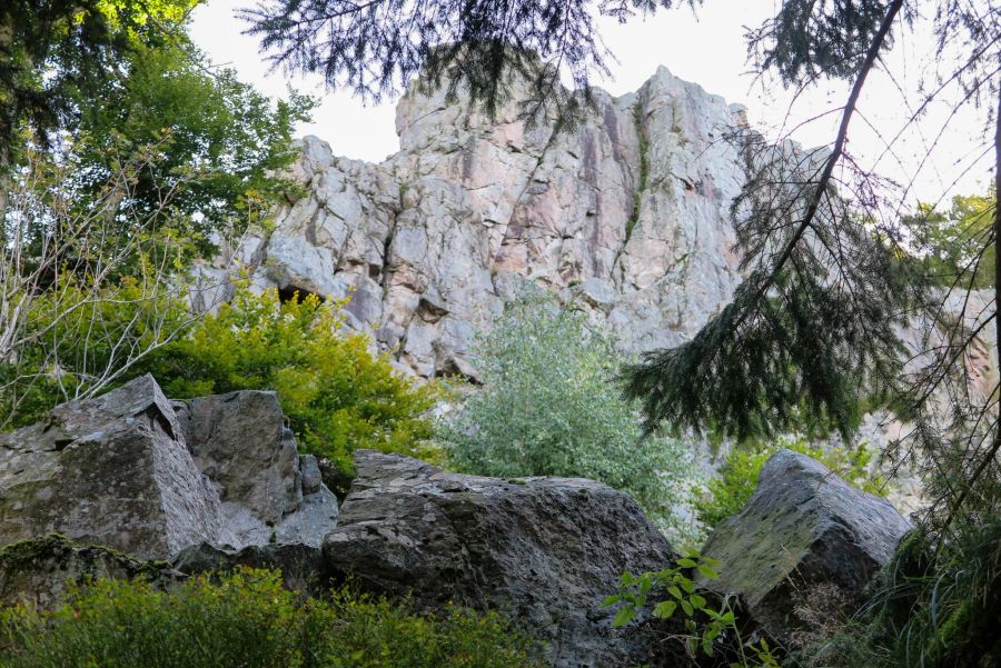 Felsen Wald Gebüsch Abbruch