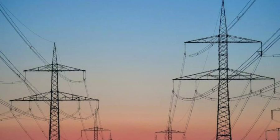 Im Zuge der Energiewende müssen noch Tausende Kilometer Leitungen neu gebaut oder umgebaut werden. Foto: Patrick Pleul/dpa-Zentralbild/dpa