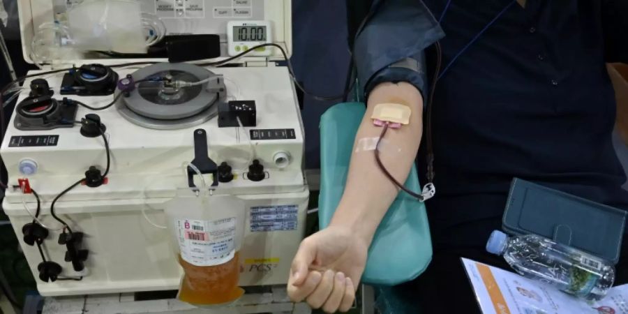 Anhänger der Shincheonji-Kirche beim Blutspenden