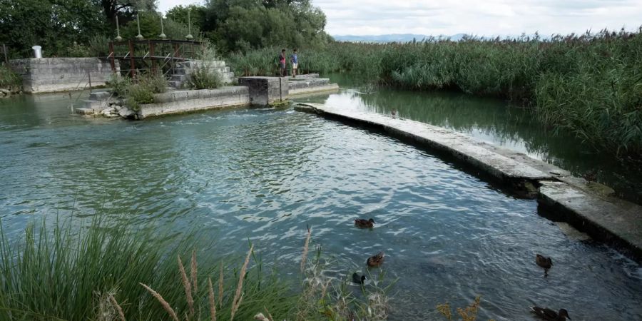 Der Park am See in Schwerzenbach.