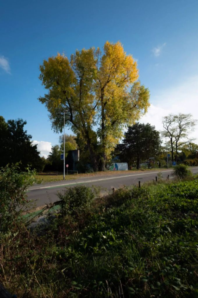 In Dübendorf kommt herbstliche Stimmung auf. Dübendorf