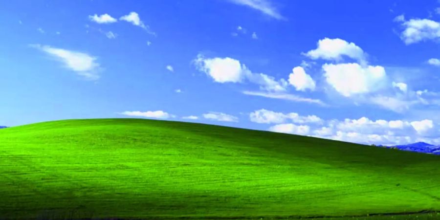 Windows XP Microsoft