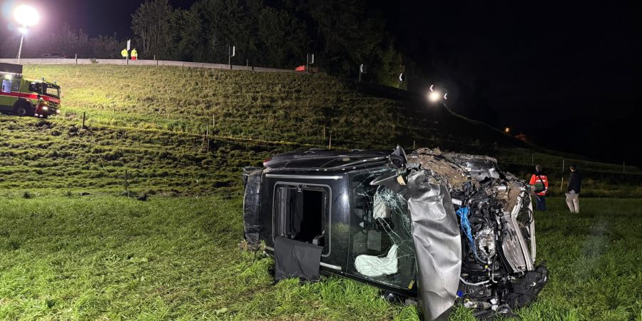 In Hirzel ZH kam es am Montagabend auf der Passstrasse zu einem Selbstunfall.
